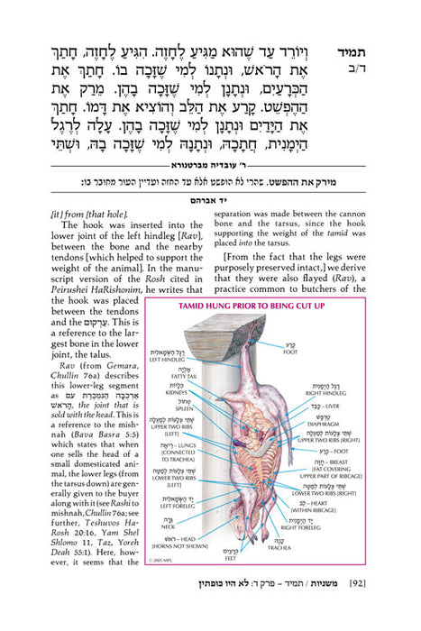 Full Size - ArtScroll Yad Avraham Mishnah Series (Mishnayos) English
