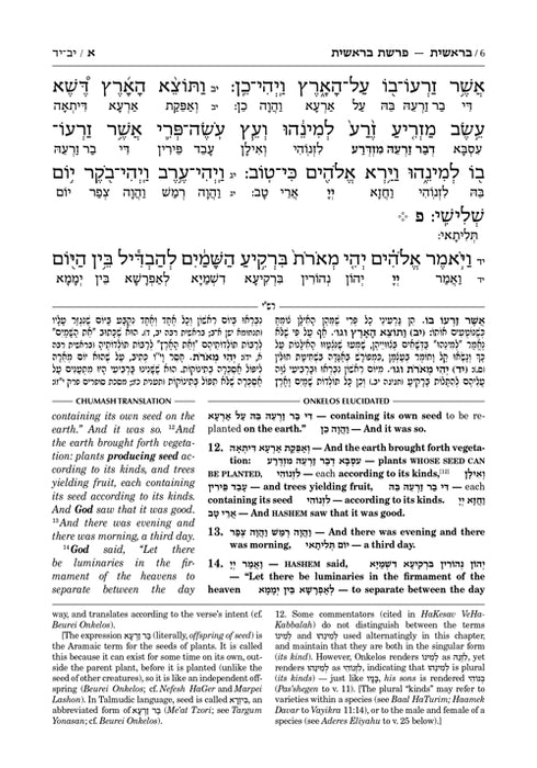 Zichron Meir Edition of Targum Onkelos - Devarim