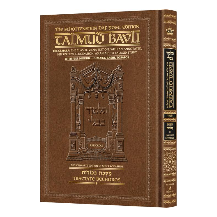 Schottenstein Daf Yomi Ed Talmud English [#65] - Bechoros Vol 1 (2a-31a) with Menukad Tzuras HaDaf (Daf Yomi Size Nikkud)