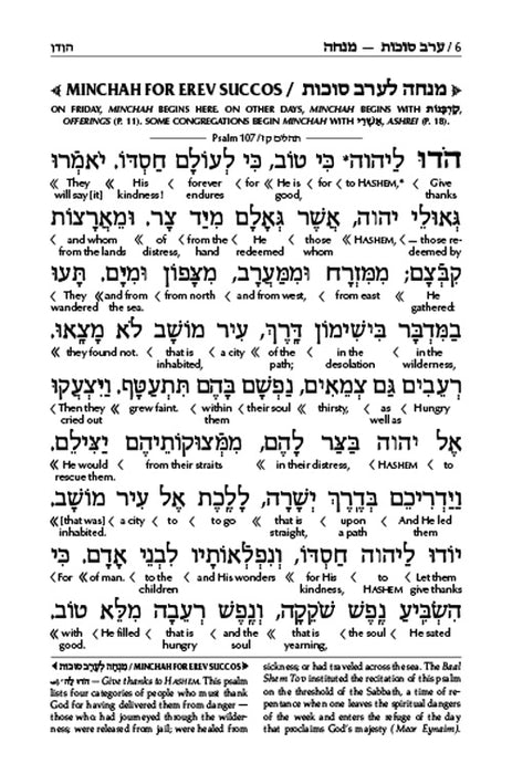 Schottenstein Interlinear Succos Machzor Full Size Ashkenaz following the Customs of Eretz Yisroel