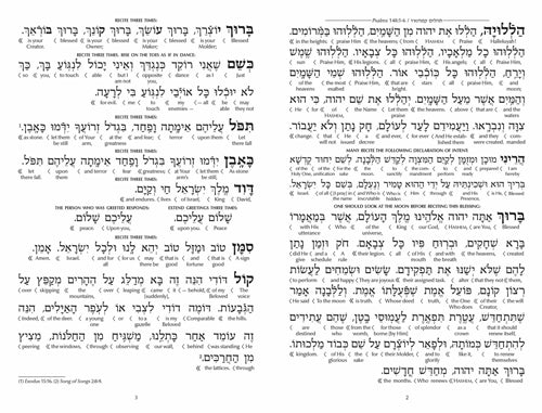 Schottenstein Edition Interlinear Kiddush Levanah Set with Lucite Box (Set of 24 in a Lucite Box)