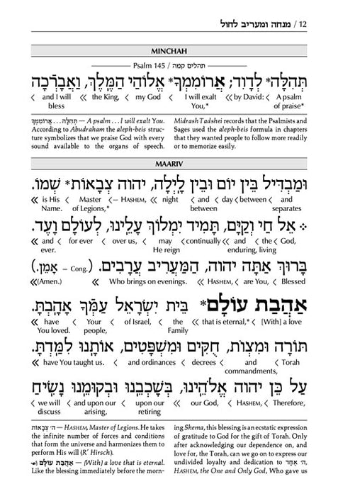 Schottenstein Ed Interlinear Minchah / Maariv - Ashkenaz - Blank White Cover (Blank White Cover Paperback)