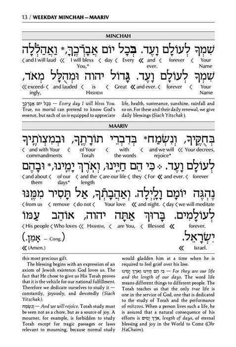 Schottenstein Ed Interlinear Minchah / Maariv - Ashkenaz - White Cover (White Cover Paperback)