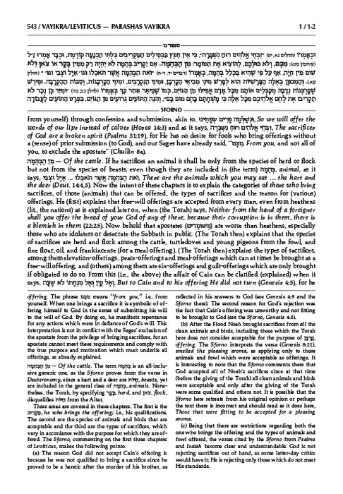 Sforno on Chumash volume 2 (Vayikra – Bamidbar – Devarim)