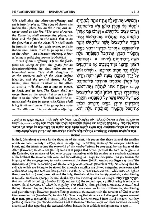 Sforno on Chumash volume 2 (Vayikra – Bamidbar – Devarim)