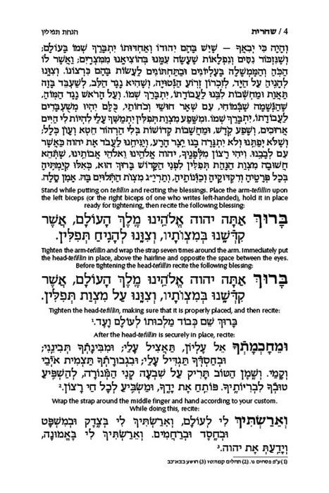 Siddur Hebrew-Only: Full Size - Sefard - Alligator Leather with Hebrew Instructions (Leather Alligator)