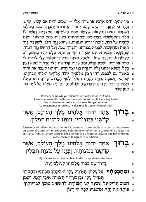 Pocket Size Spanish Siddur Chinuch Mordechai Shlomo - Ashkenaz - Edicion Wengrowsky (Spanish Pocket Size Ashkenaz)