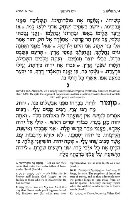 Signature Leather Collection Full-Size Hebrew/English Tehillim Royal Brown
