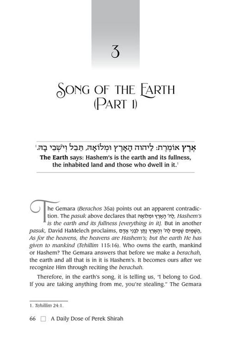 A Daily Dose of Perek Shirah - Deluxe Edition Lucite Cover