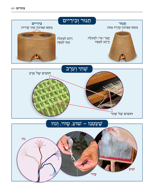 The Book of Torah Timelines, Charts and Maps - HEBREW Edition (Hebrew Edition Hard Cover)