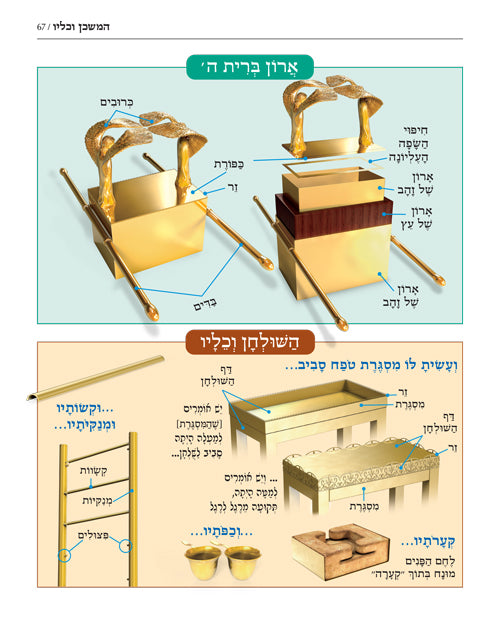 The Book of Torah Timelines, Charts and Maps (English Edition Hard Cover)