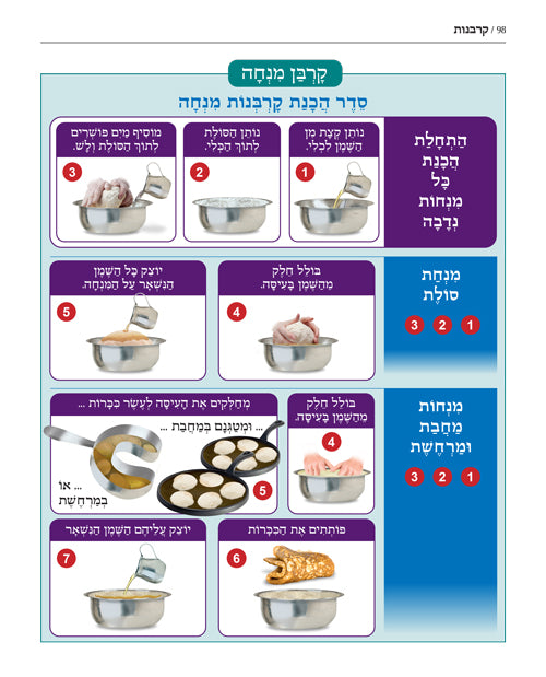 Enlarged The Book of Torah Timelines, Charts and Maps - Hebrew Edition HC