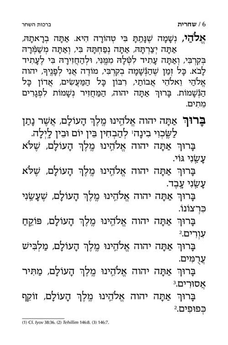 Siddur Shiras Sheina: All Hebrew Women’s Siddur with English Instructions - White