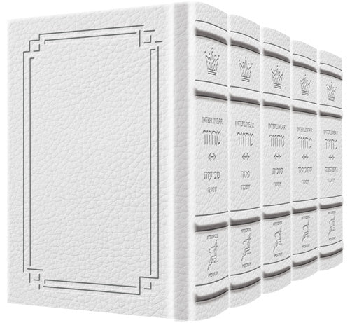 Ashkenaz - Signature White Leather Schottenstein Ed. Interlinear 5 Vol Set