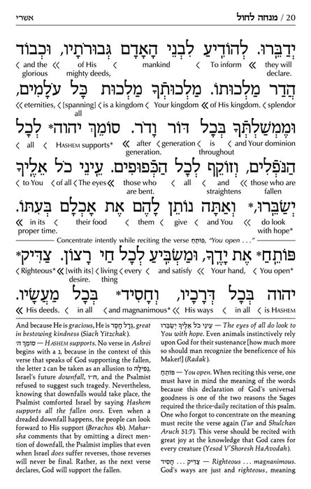 Signature Leather Schottenstein Edition Siddur Interlinear Sabbath & Festivals Full Size Ashkenaz - Midnight Blue