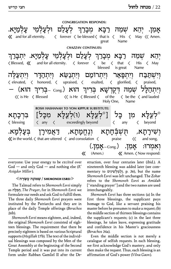 Siddur Interlinear Sabbath & Festivals Full Size Ashkenaz Schottenstein Edition - Signature Leather - Navy