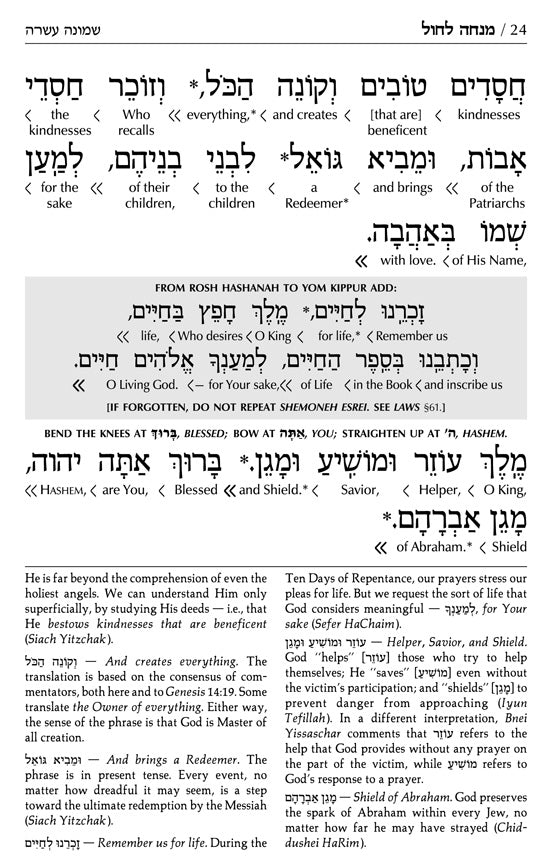 Siddur Interlinear Sabbath & Festivals Full Size Ashkenaz Schottenstein Edition - Signature Leather - Charcoal Black