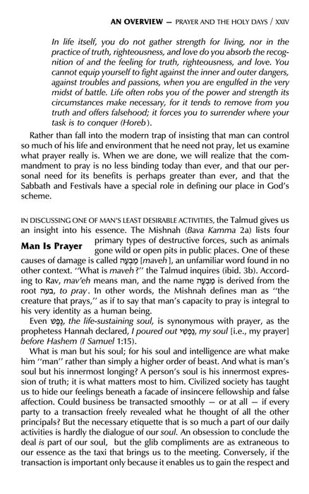 Signature Leather Schottenstein Edition Siddur Interlinear Sabbath & Festivals Full Size Ashkenaz - Midnight Blue