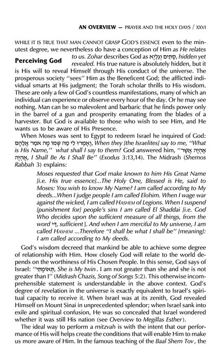 Signature Leather Schottenstein Edition Siddur Interlinear Sabbath & Festivals Full Size Ashkenaz - Midnight Blue