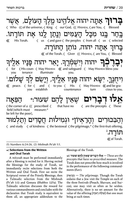 Siddur Interlinear Weekday Full Size - Ashkenaz - Schottenstein Edition - Signature Leather - Royal Brown