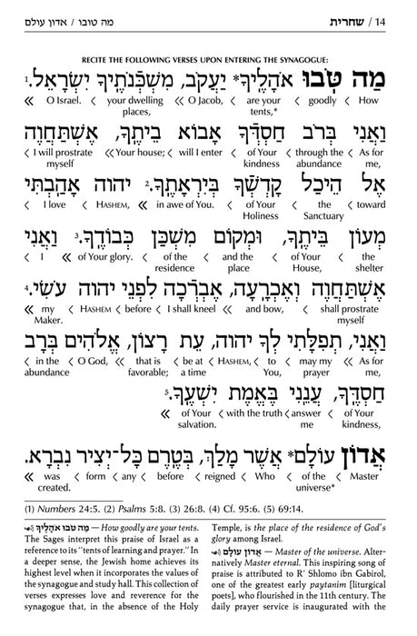 Siddur Interlinear Weekday Full Size - Ashkenaz - Schottenstein Edition - Signature Leather - Charcoal Black