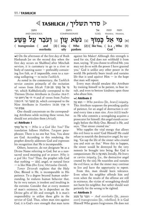 The Schottenstein Edition Interlinear Tashlich Paperback