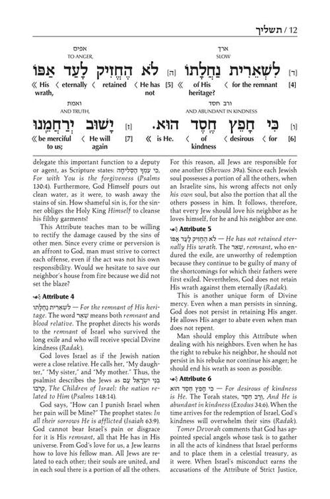 The Schottenstein Edition Interlinear Tashlich Paperback