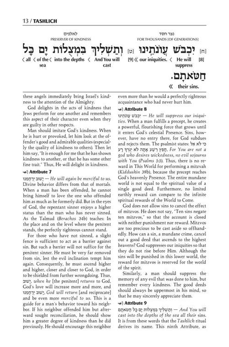 The Schottenstein Edition Interlinear Tashlich Paperback