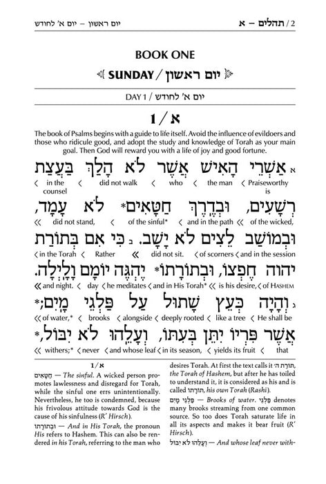 Signature Leather Collection Enlarged Interlinear Tehillim Amber Brown