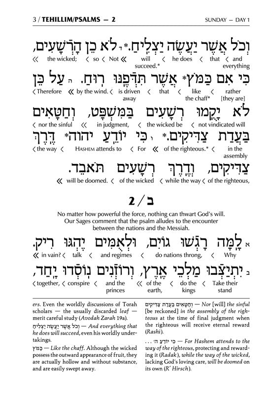 Interlinear Tehillim /Psalms Full Size The Schottenstein Edition - Signature Leather - Fuchsia Pink