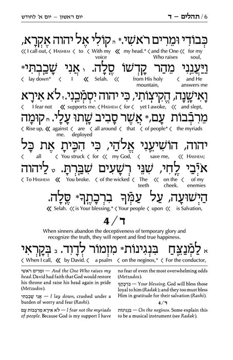 Interlinear Tehillim / Psalms Pocket Size, Hard Cover The Schottenstein edition (Hardcover)