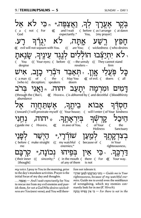 Interlinear Tehillim / Psalms Pocket Size, Hard Cover The Schottenstein edition - White Cover