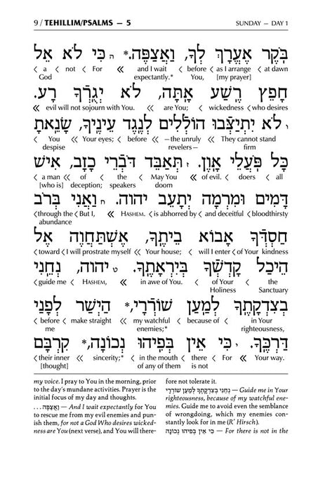 Signature Leather Collection Enlarged Interlinear Tehillim Emerald Green