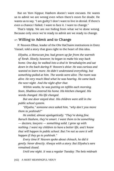 A Most Meaningful Viduy