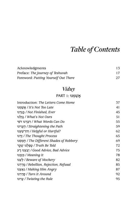 A Most Meaningful Viduy