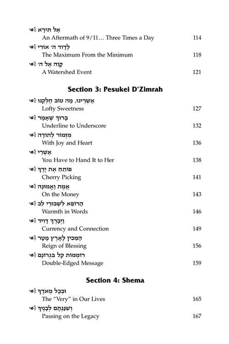 The Maggid on Tefillah