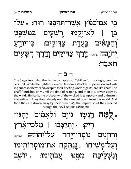 (Hebrew Only) Large Type Tehillim with Taamin & Kavanot Hashem - Hasbani Family Edition (Grey)