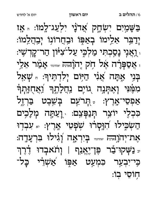 (Hebrew Only) Large Type Tehillim with Taamin & Kavanot Hashem - Hasbani Family Edition (Grey)