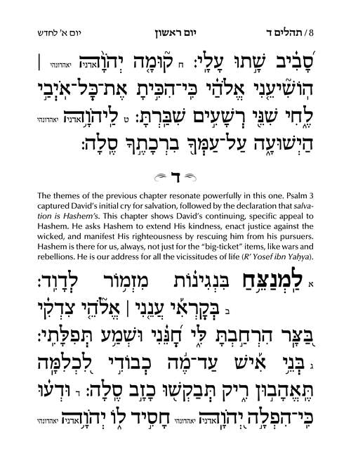 (Hebrew Only) Large Type Tehillim with Taamin & Kavanot Hashem - Hasbani Family Edition (Grey)