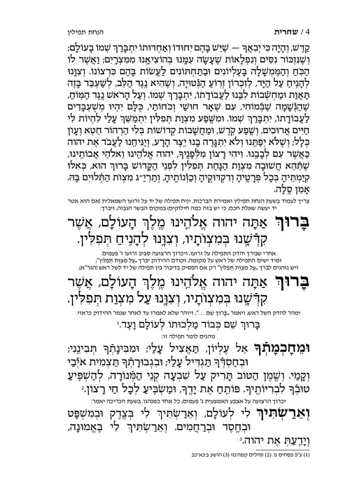 Siddur Hebrew-Only: Full Size - Sefard - White Leather with Hebrew Instructions (Leather White)
