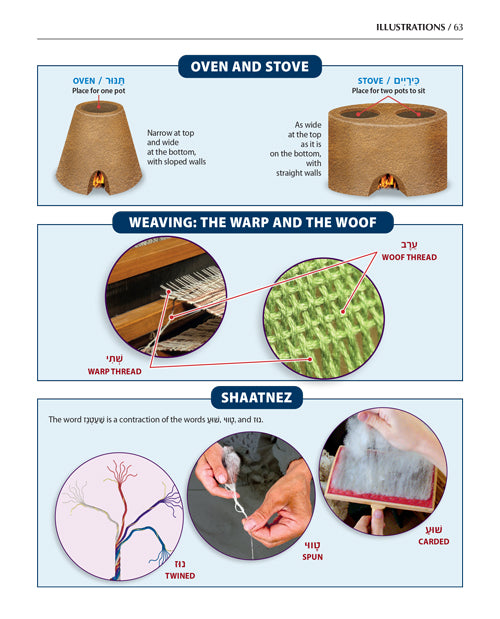 Enlarged Size: The Book of Torah Timelines, Charts and Maps (Enlarged English Edition)