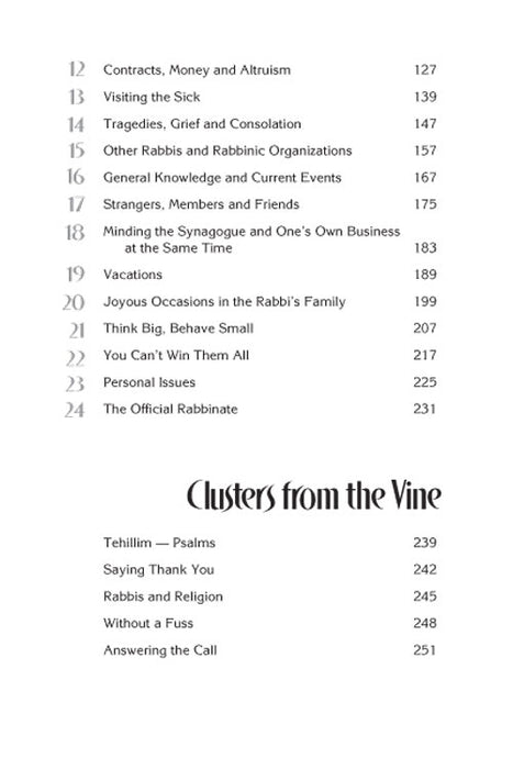 Tending the Vineyard (Paperback) - The life-rewards and vicissitudes of being a Rabbi