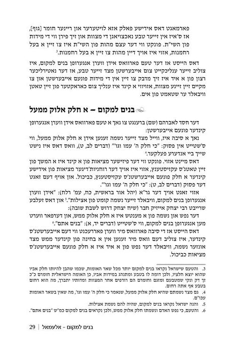 Rebbi Meir Baal Haness and the Eternal Children of Hashem - Yiddish Edition