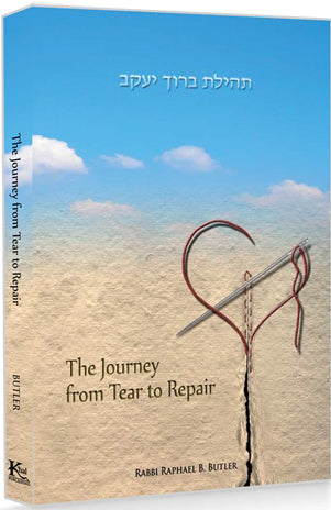 The Journey From Tear to Repair - Softcover