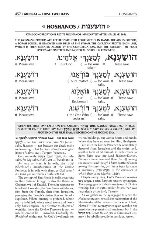 Schottenstein  Interlinear  Machzor Succos  -Hebrew English - Ashkenaz- Maroon Leather