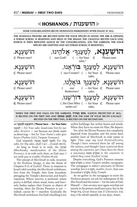 Schottenstein  Interlinear  Machzor Succos  -Hebrew English - Ashkenaz- White  Leather