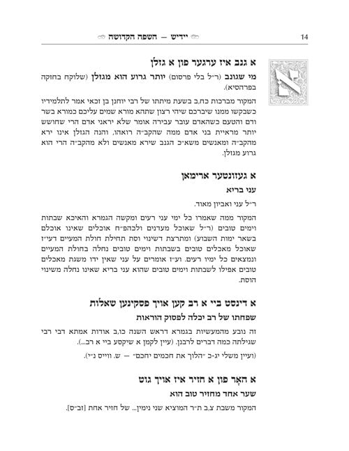 Yiddish - A Holy Language - Gift Size complete in 1 Volume - השפה יידיש הקדושה