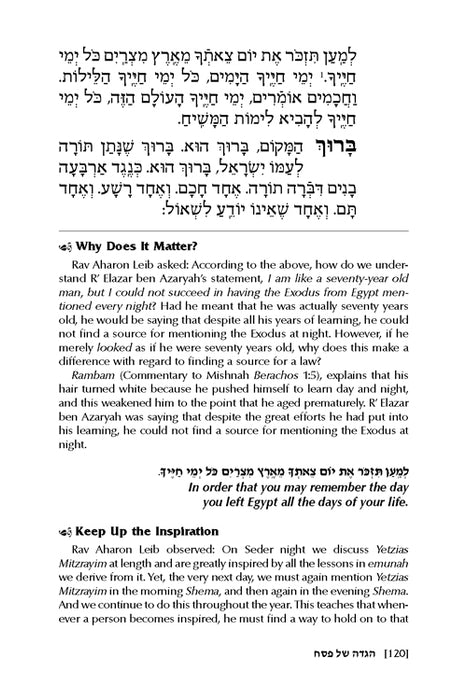The Reb Aharon Leib Haggadah