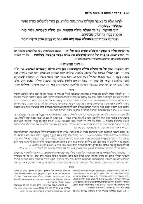 Hebrew Sefer HaChinuch Volume 7 - Zichron Asher Herzog Edition
