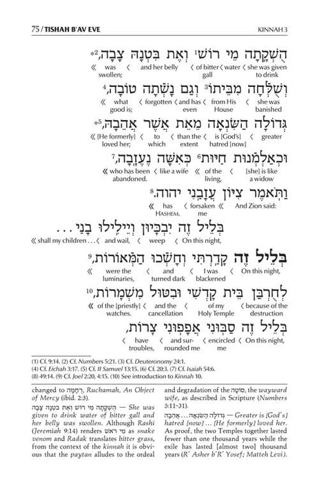 Schottenstein Edition Interlinear Kinnos / Tishah B'av Siddur - Sefard